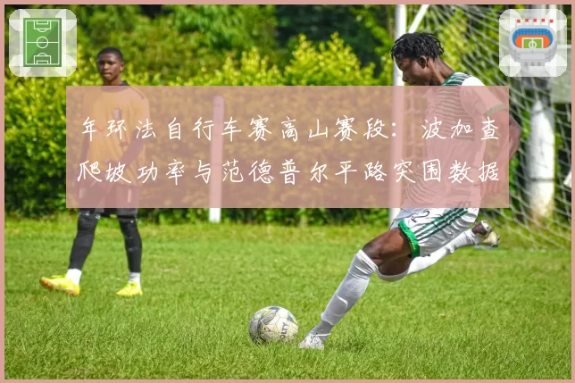 年环法自行车赛高山赛段:波加查爬坡功率与范德普尔平路突围数据对比