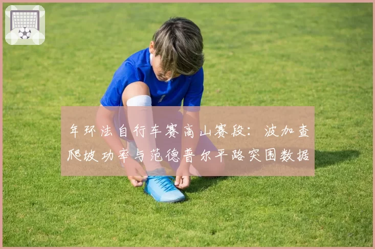 年环法自行车赛高山赛段:波加查爬坡功率与范德普尔平路突围数据对比